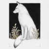White Fox Art by Carolina Lebar