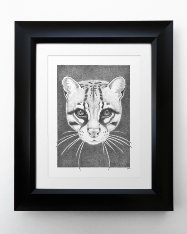 Ocelot with Matte and Frame