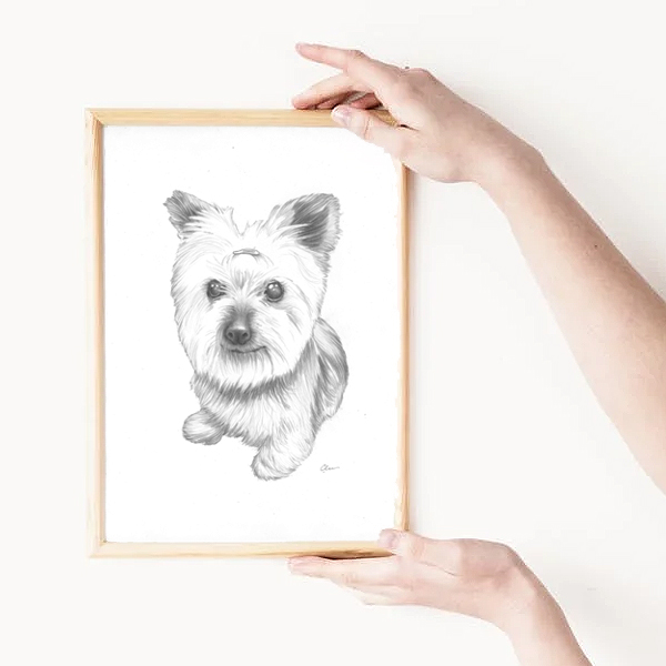 Framed Pet Portrait Drawing