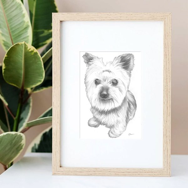 Matted and Framed Pet Portrait Drawing
