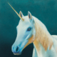 Unicorn Painting by Carolina Lebar