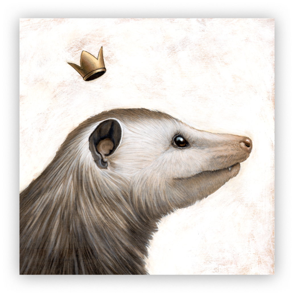 KING OPOSSUM | Artist Carolina Lebar | Animal Kingdom Series