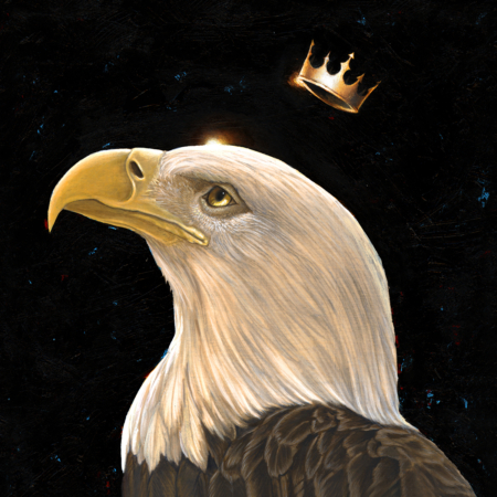 KING BALD EAGLE | Carolina Lebar | Animal Kingdom