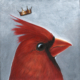 KING CARDINAL | Carolina Lebar | Animal Kingdom