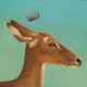 QUEEN DEER | Carolina Lebar | Animal Kingdom