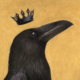 QUEEN RAVEN | Carolina Lebar | Animal Kingdom